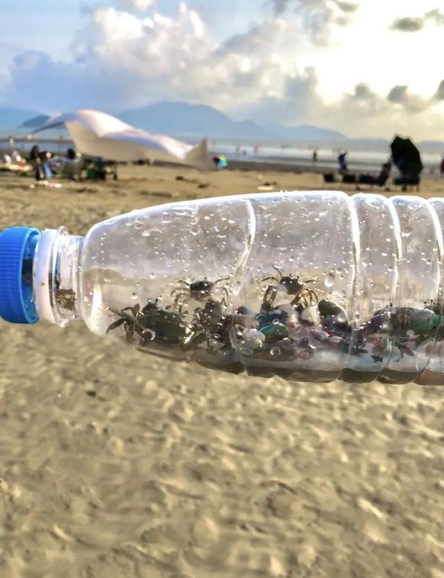 珠海赶海地图出炉！这些宝藏海滩，火爆了！