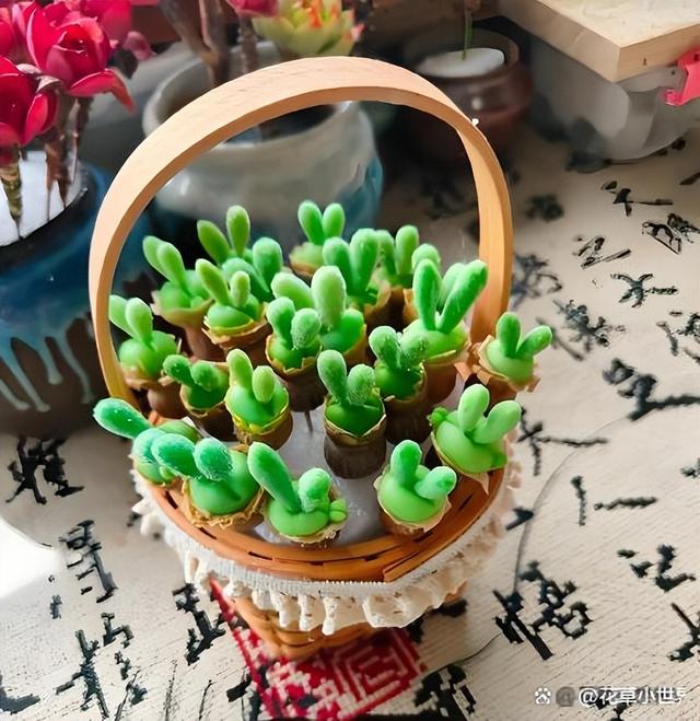 女子晒“已苏醒的小兔子”，萌萌的好可爱，网友：长大后会变残