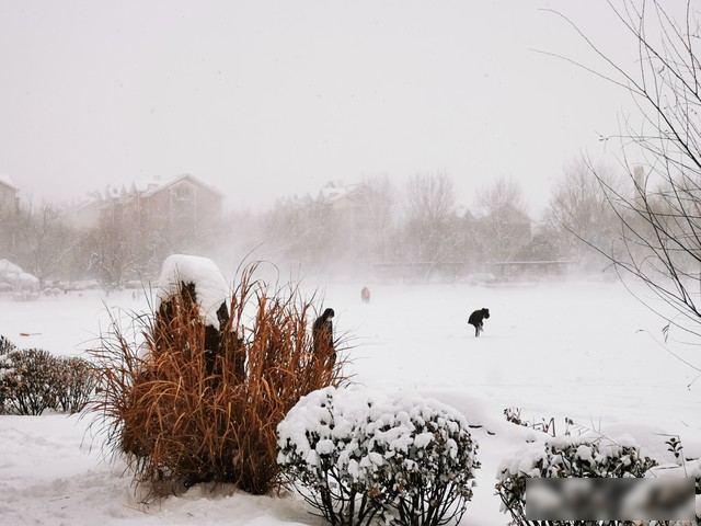 “春节冷不冷，就看冬至”，今日冬至，2026年春节会很冷吗？