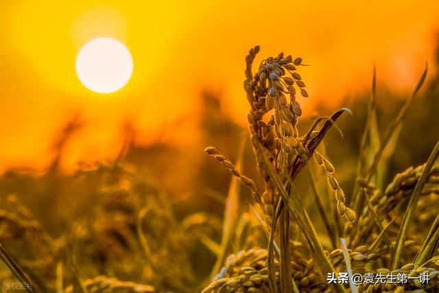 今日中秋，老人说最怕“中秋一日雨”，中秋下雨有啥预兆？早了解