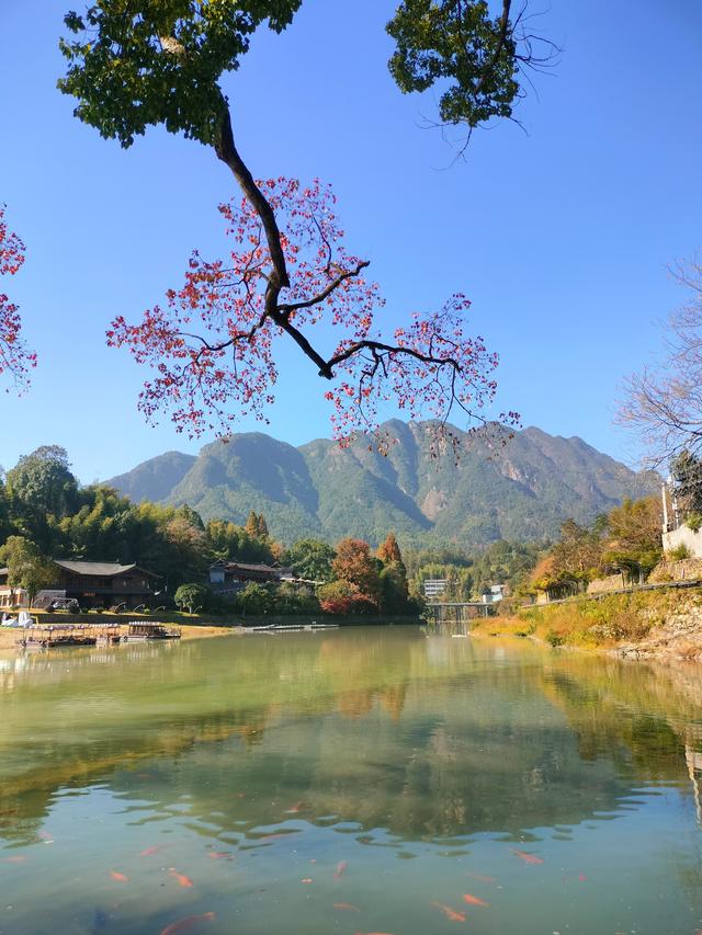 瓯越风情（二）：泰顺·廊桥遗梦与山乡暖意