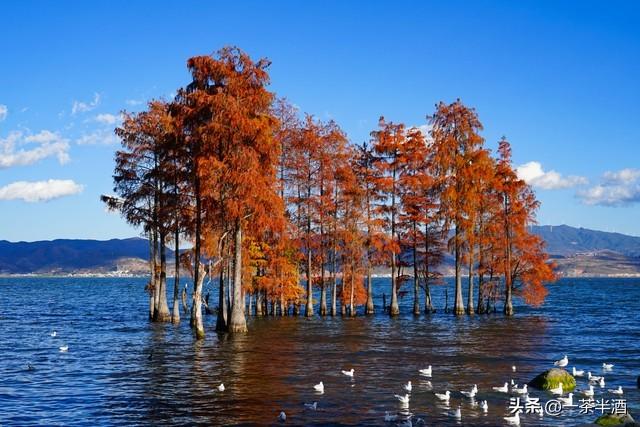 云南最值得游玩的地方