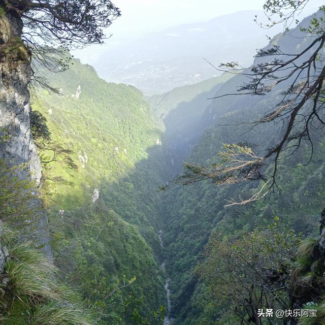 我见青山多妩媚-记5.10爬峨眉山