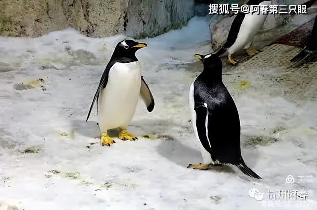大连 之海洋世界