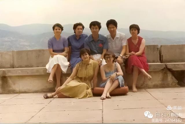 卡拉布里亚大学的松树