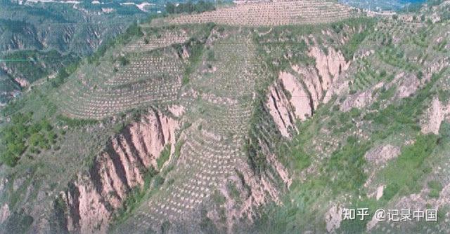 梦在青山绿水间——陕西省延长县国家储备林基地建设侧记