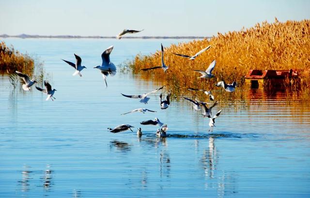 走进魅力北疆 遇见金色阿拉善
