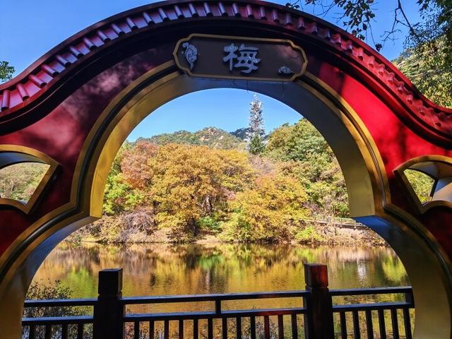 层林尽染 颜值拉满！千山赏秋正当时