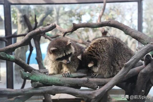 半价游西安！冬日景区福利上线