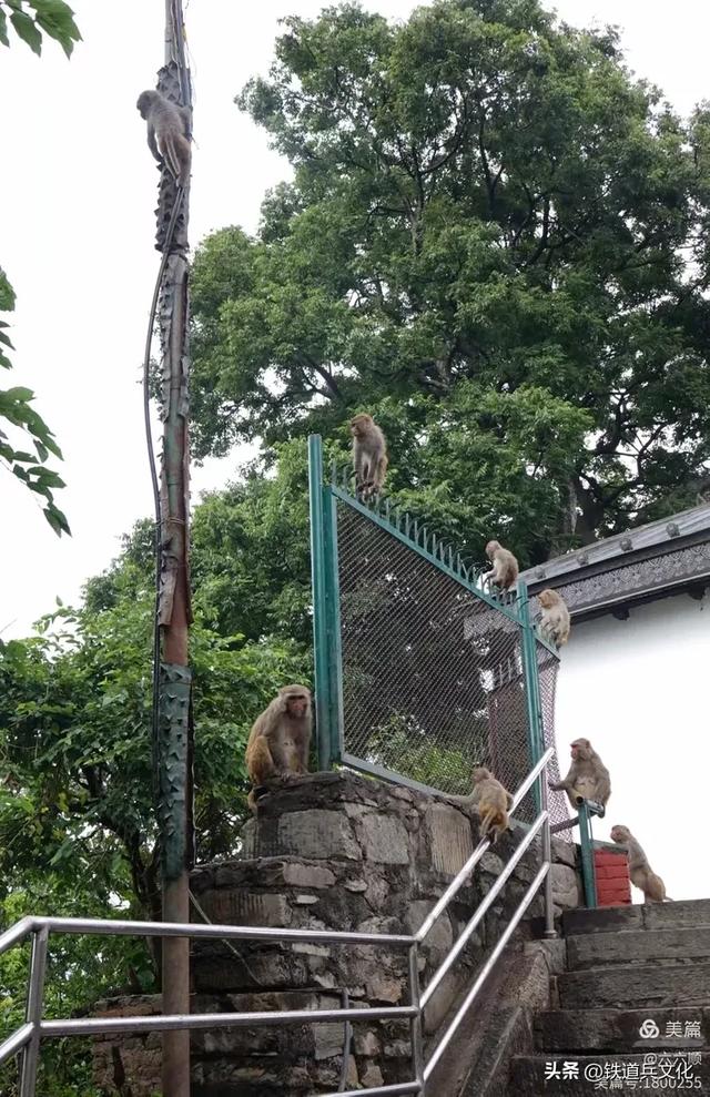 曾省伶||群山雪岭中的神灵之地——尼泊尔（上）