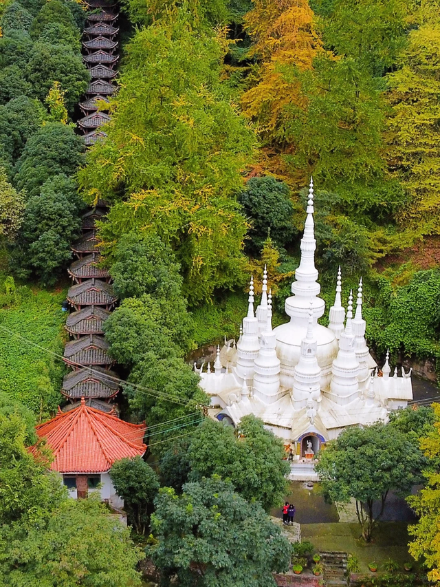 黄了红了！成都1.5h直达大邑白岩寺，徒步赏叶登顶攻略看这里~