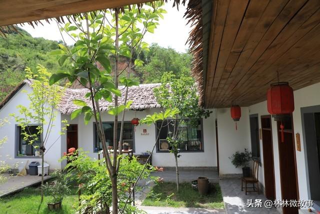 那年我下岗摆摊卖菜，遭女友嫌弃退婚，隔壁摊大娘把女儿介绍给我