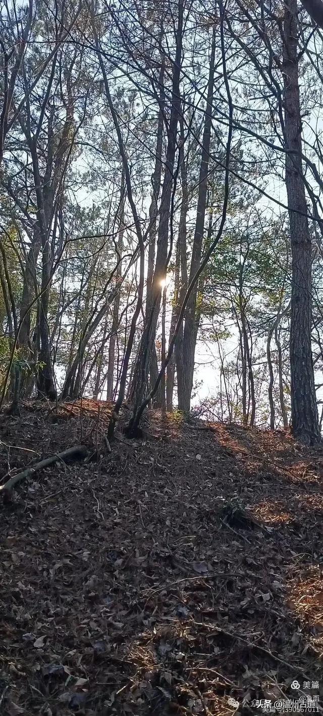 探秘楠溪江源头!这条海拔千米以上的草甸山脊只有极少数驴友知道