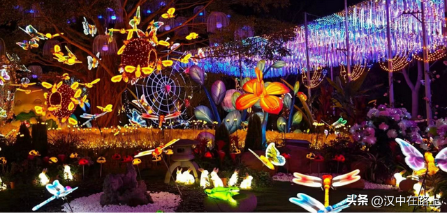 汉中天台山森林奇幻夜即将开启!一键get夏夜清凉与光影狂欢