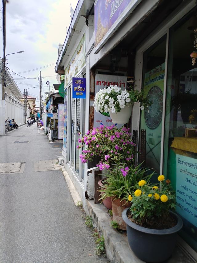 曼谷的花，是市井里的浪漫勋章