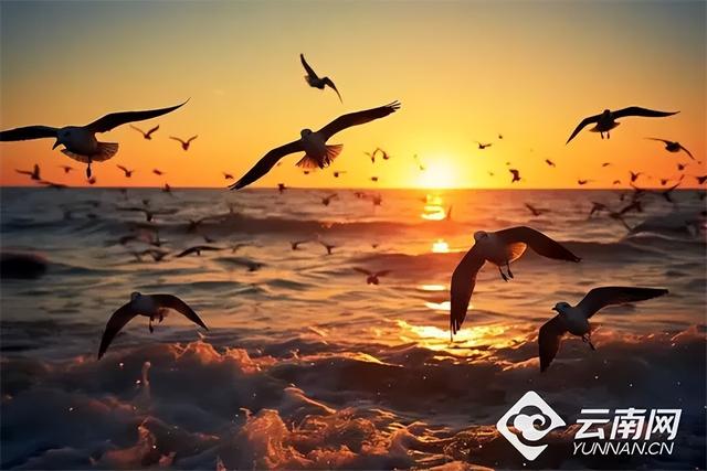 向鸥而居 心安云南