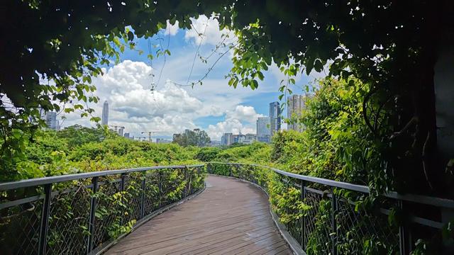 深圳，全国空气质量最好的特超大城市，从天空到地面都是风景