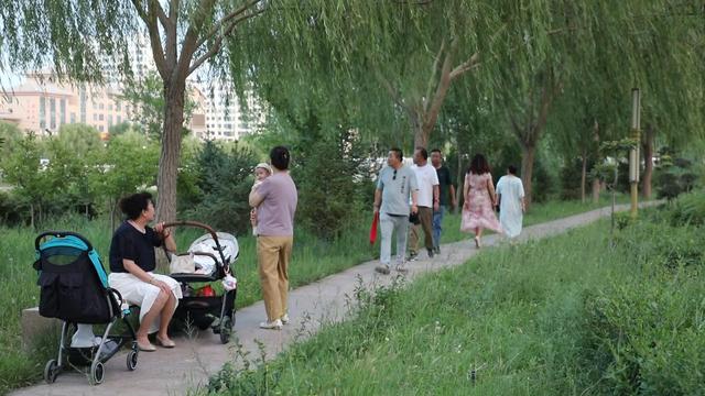 党河“补绿”上新 风情线“一键换肤”