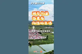 乡村振兴72变 | 左家营村：骑马，钓鱼，这里有向往的生活图片
