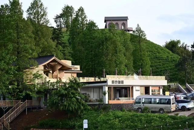 萧山人为什么总往村里跑！