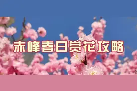 速看！赤峰中心城区“赏花地图”来了~图片