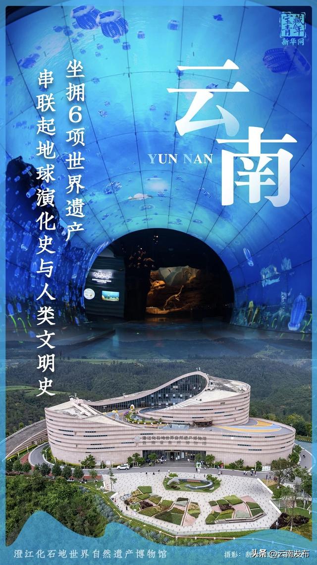 云南向“全球南方”发出一封邀请函