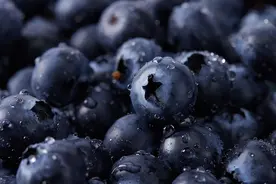 蓝莓大降价！正大量上市！图片