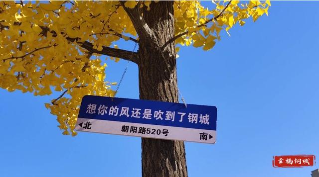 是心动啊~落叶缓扫 留住钢城限定版诗意