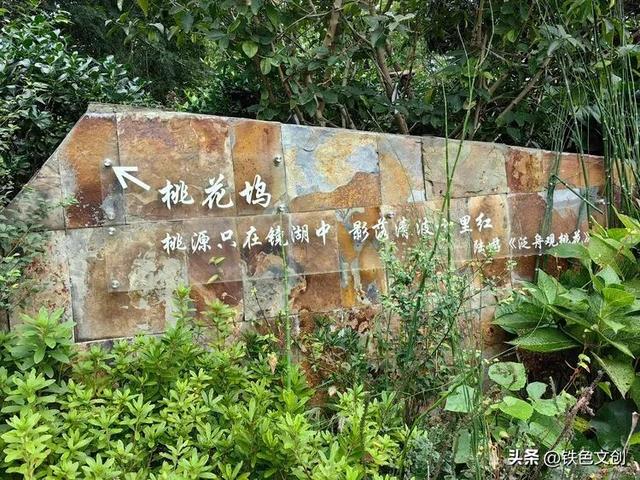 重阳踏秋：浮山秋韵里我们把岁月唱成歌