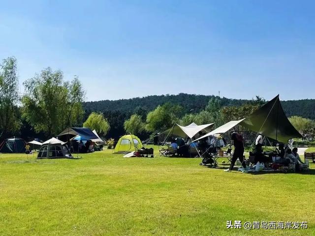 送票！西海岸这片梦幻花海开了！