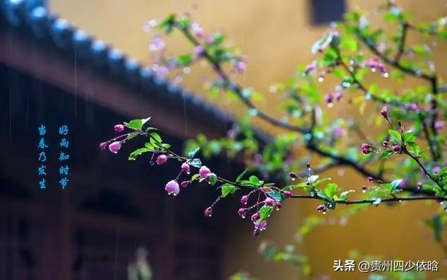 相思泪落十六拍