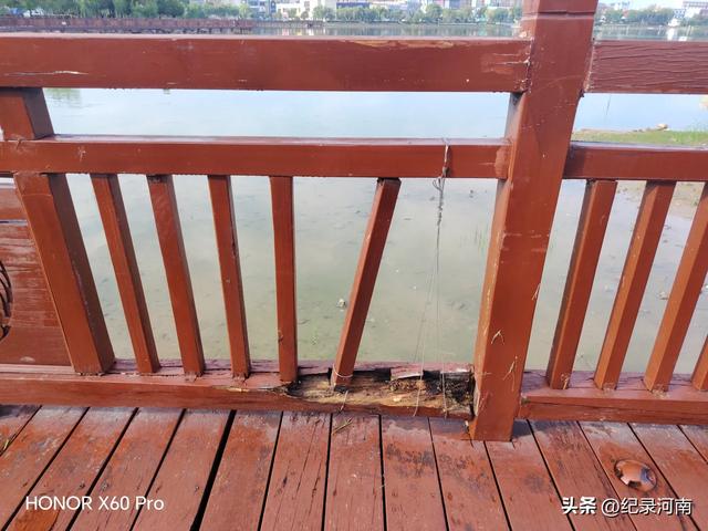 全国文明城市柘城县国家湿地公园榕湖斥巨资升级的人行栈道现状