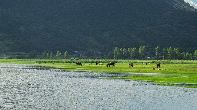 8月避世，6个拥抱自然的好去处，逃离三伏天，躲进20℃的夏天