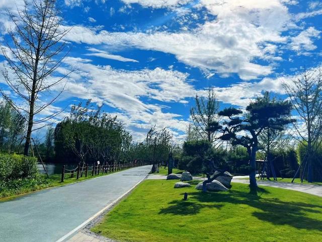 大美高新，勾勒城市发展新图景！