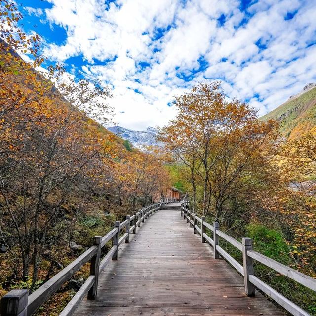 秋日黄龙来信｜山巅的蓝宝石正在阳光下等你