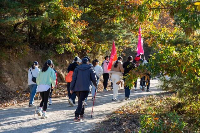 英雄杨子荣故里——牟平区文化街道嵎峡河村第二届岿山登山季来了