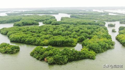 舟山、大连、湛江、宁德、威海：中国海岸线最长的5个城市
