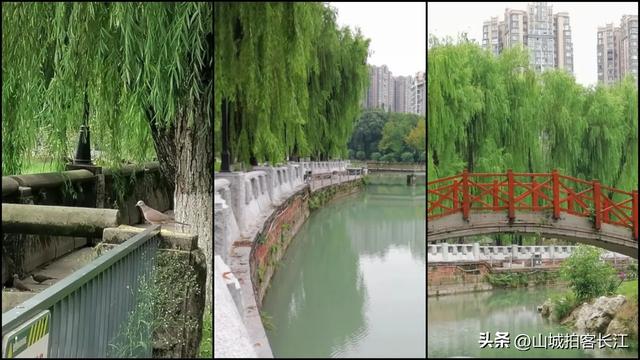 成都扩张“吞并”的郊区,地势平坦全域无山丘,为何被称为睡城?