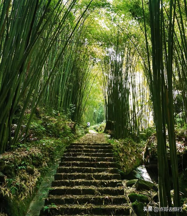 成都彭州5条爆红徒步线路，被严重低估，全部免费，景色秀美！