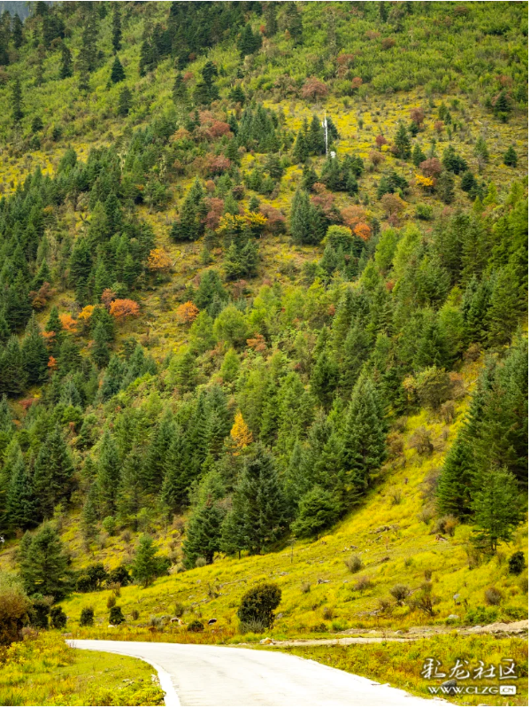 秋天的影像诗 普达措国家森林公园的秋天静谧安详，如诗如画