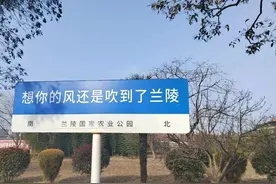 县城贵妇都是做什么的？以山东省兰陵县为例图片