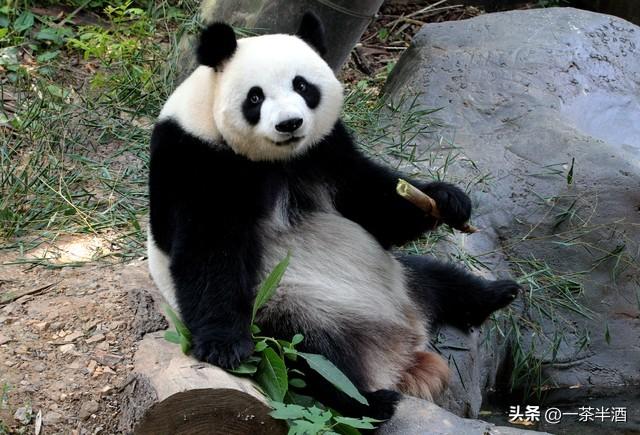 南京市全部区域内免费自驾车停车露营地，主要好玩景点及特色美食