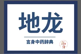 地龙（息风止痉药）图片