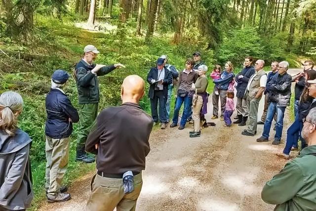 护林员徒手抗砍刀，非法建筑占公园，塞拉利昂生态旅游梦碎了？