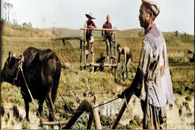 上世纪50年代老照片，新中国成立不到10年，老百姓的生活越来越好图片