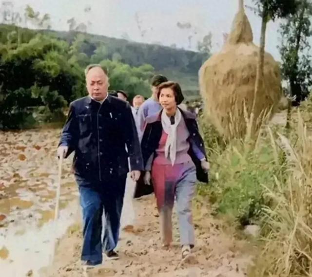 59年，陈毅回到四川老家，夫人张茜那年37岁，长相出众，气质非凡