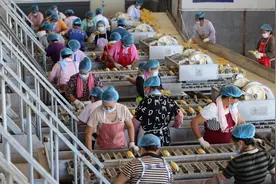 看张家口高质量发展这样落地之万全——在求“新”求“变”中拔节跃升图片