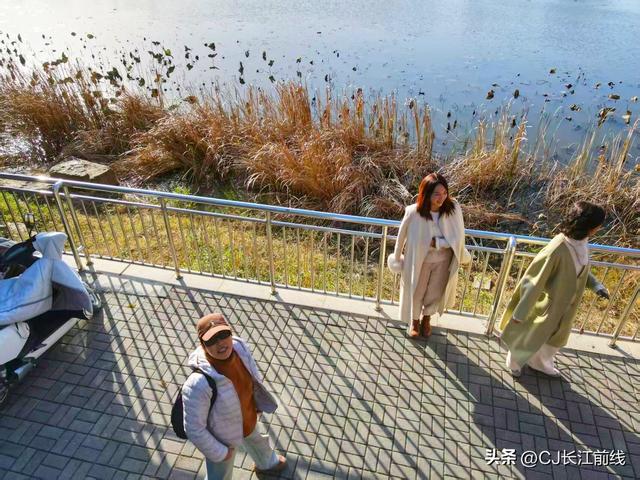 河南淮滨：湖畔杉红景美人更美