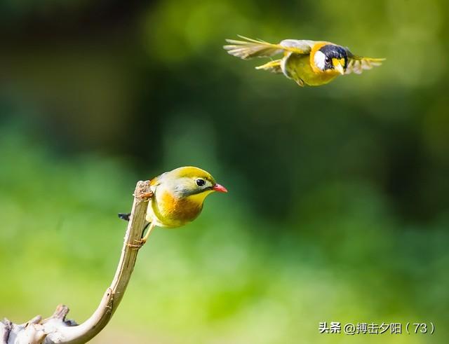 两性关系，惊人发现，60岁与异性靠近	，根本不是桃花运，而是这