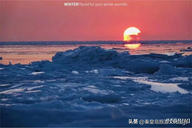 惊艳!秦皇岛海冰迎来最佳观赏期,限定美景别错过!